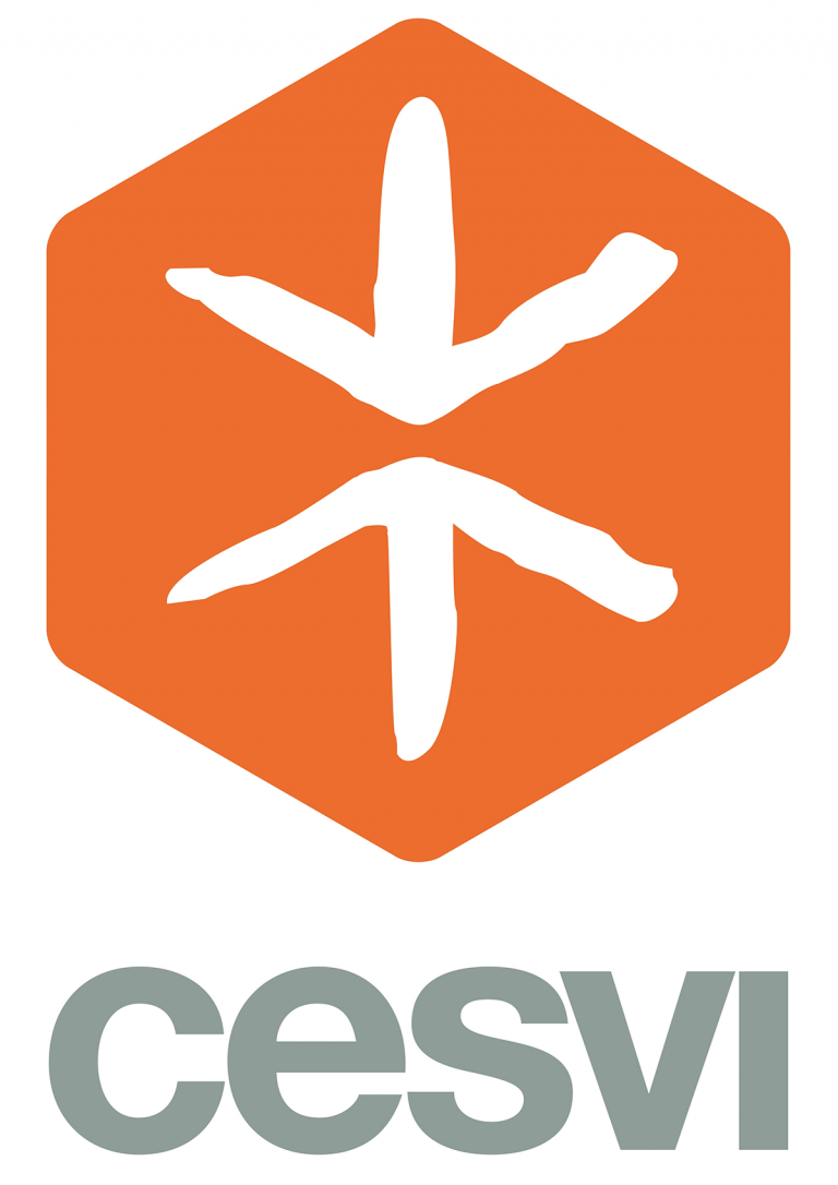 CESVI Logo